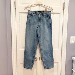 Banana Republic High Rise Barrel Fit Jeans 27P